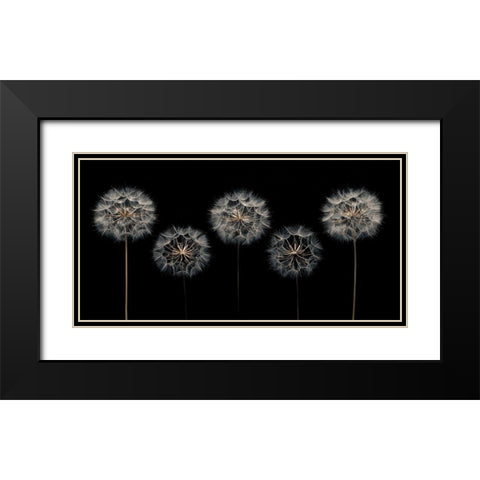 Make A Wish Black Modern Wood Framed Art Print with Double Matting by Frank, Assaf
