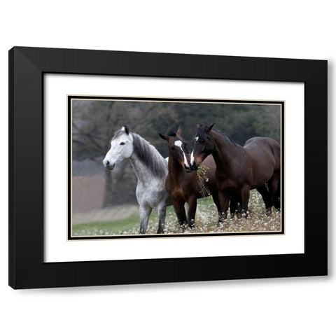 Threes Company Black Modern Wood Framed Art Print with Double Matting by Llovet, Jorge