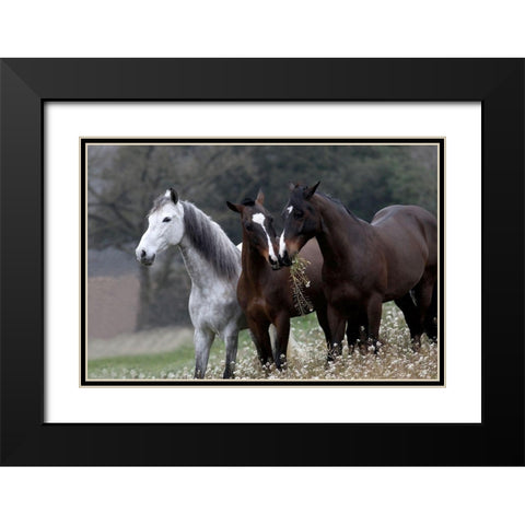 Threes Company Black Modern Wood Framed Art Print with Double Matting by Llovet, Jorge