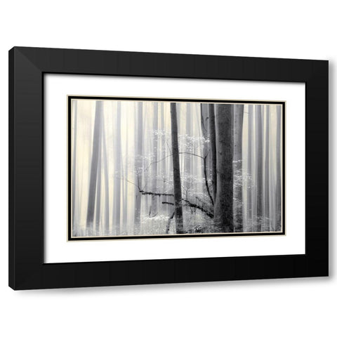 Still Silence Black Modern Wood Framed Art Print with Double Matting by Pelkey, Marvin