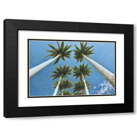 Looking Up  Black Modern Wood Framed Art Print with Double Matting by Frates, Dennis