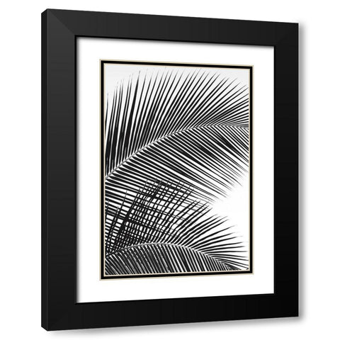 Tropical Fan Black Modern Wood Framed Art Print with Double Matting by Frates, Dennis
