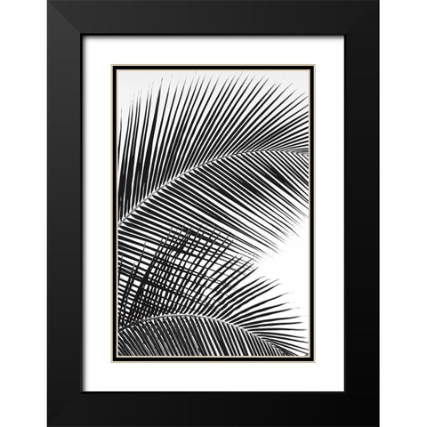 Tropical Fan Black Modern Wood Framed Art Print with Double Matting by Frates, Dennis