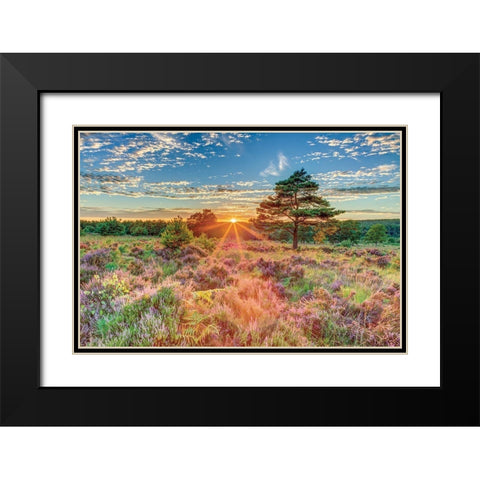 Heathland Sunset Black Modern Wood Framed Art Print with Double Matting by Frank, Assaf