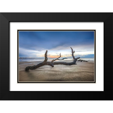 Bones Beach Black Modern Wood Framed Art Print with Double Matting by Celebrate Life Gallery