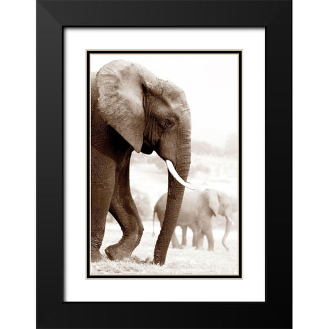 Wandering Black Modern Wood Framed Art Print with Double Matting by Llovet, Jorge