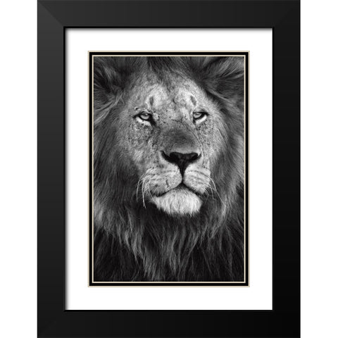 Pride Black Modern Wood Framed Art Print with Double Matting by Ortega, Xavier