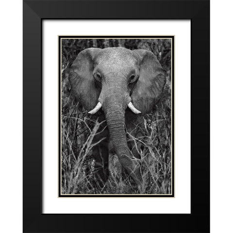 Strength Black Modern Wood Framed Art Print with Double Matting by Ortega, Xavier