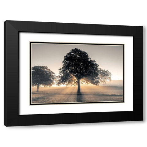 Hidden Treasure Black Modern Wood Framed Art Print with Double Matting by Frank, Assaf