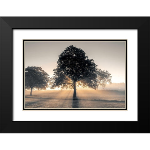 Hidden Treasure Black Modern Wood Framed Art Print with Double Matting by Frank, Assaf