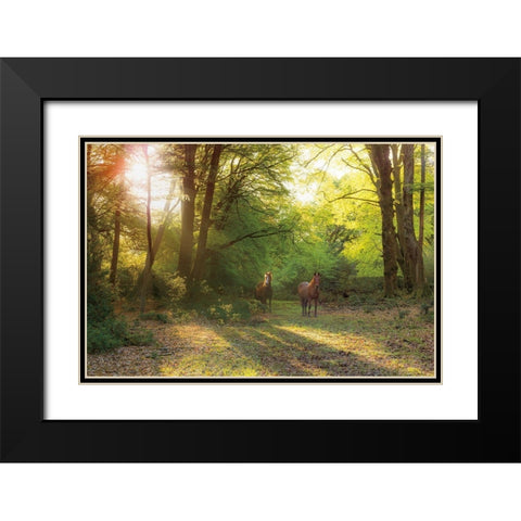 Good Morning Black Modern Wood Framed Art Print with Double Matting by Frank, Assaf