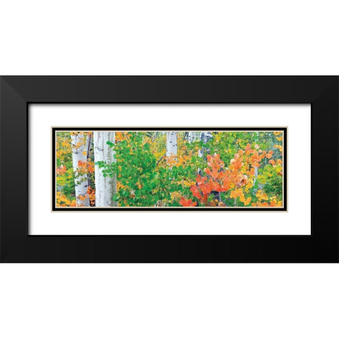 Forest Colors Black Modern Wood Framed Art Print with Double Matting by Frates, Dennis