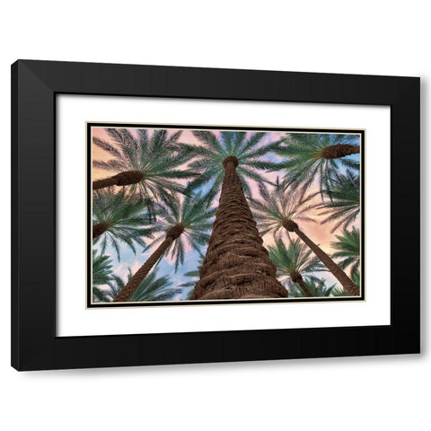 Tropical Views Black Modern Wood Framed Art Print with Double Matting by Frates, Dennis