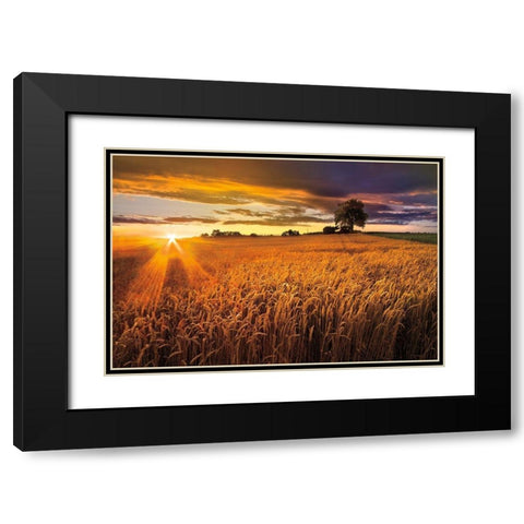 Sunlight On the Wheat Fields Black Modern Wood Framed Art Print with Double Matting by Celebrate Life Gallery