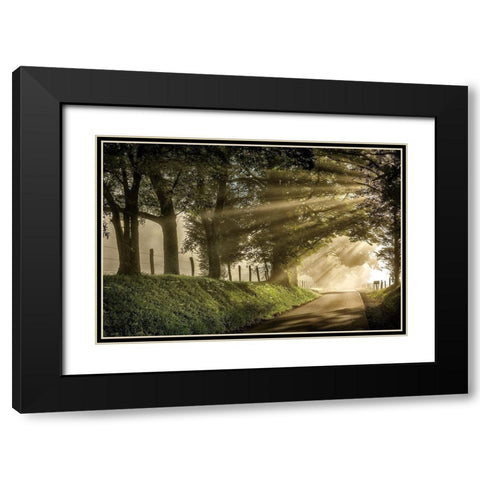 All Aglow Black Modern Wood Framed Art Print with Double Matting by Burt, D.