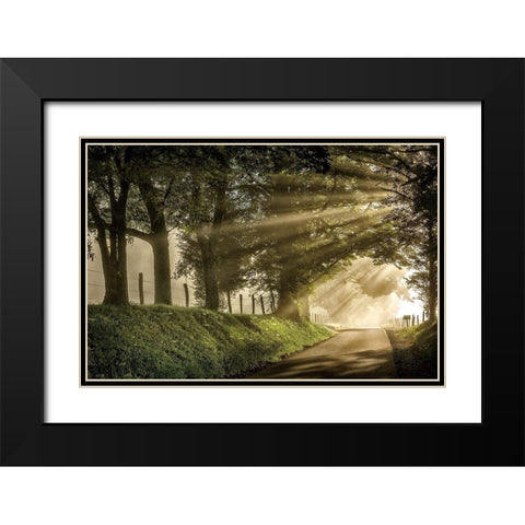 All Aglow Black Modern Wood Framed Art Print with Double Matting by Burt, D.