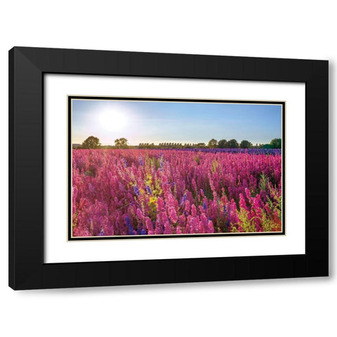 Delphinium Field Black Modern Wood Framed Art Print with Double Matting by Frank, Assaf