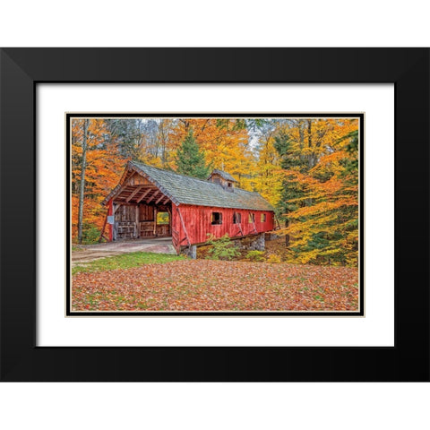Loon Song Covered Bridge Black Modern Wood Framed Art Print with Double Matting by Howarth, Gail