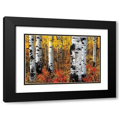 Band of Brothers Black Modern Wood Framed Art Print with Double Matting by Smith, Ken
