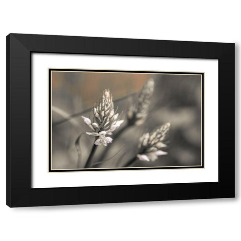Up Close Black Modern Wood Framed Art Print with Double Matting by Frank, Assaf