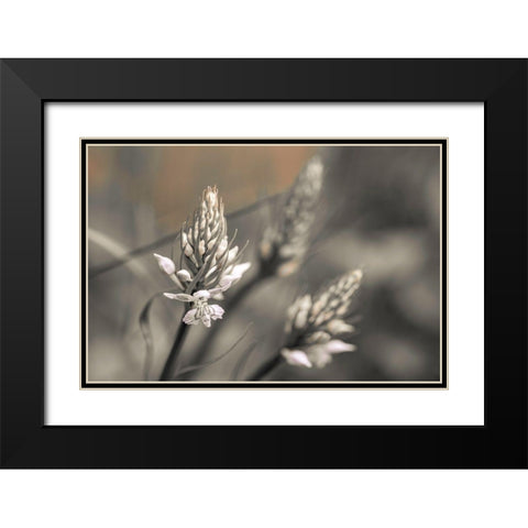 Up Close Black Modern Wood Framed Art Print with Double Matting by Frank, Assaf