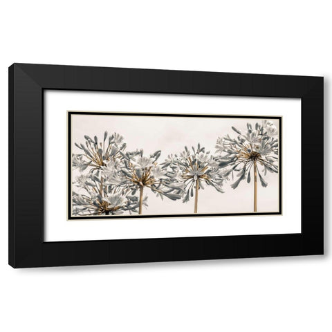 African Lily II Black Modern Wood Framed Art Print with Double Matting by Frank, Assaf
