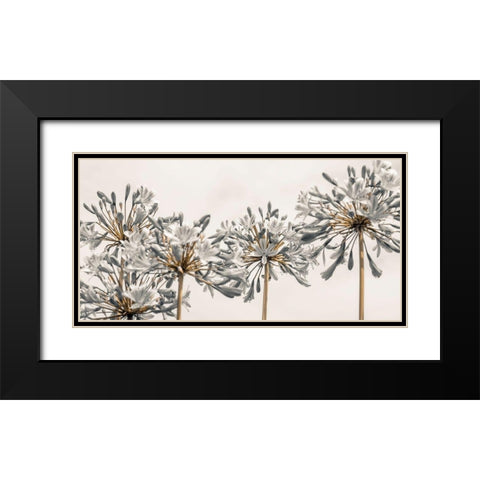 African Lily II Black Modern Wood Framed Art Print with Double Matting by Frank, Assaf