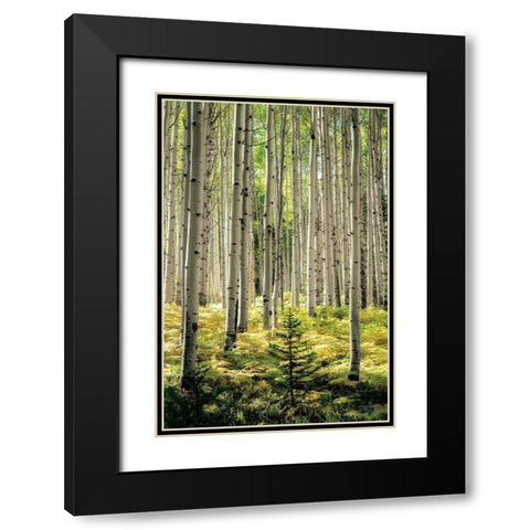 Small and Tall Black Modern Wood Framed Art Print with Double Matting by Small and Tall