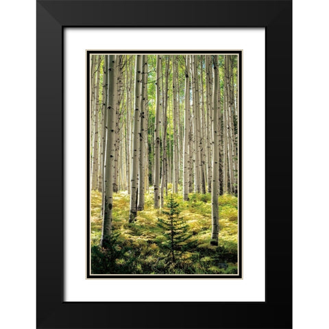 Small and Tall Black Modern Wood Framed Art Print with Double Matting by Small and Tall