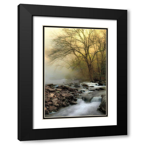 One Spring Morning Black Modern Wood Framed Art Print with Double Matting by Burt, D.