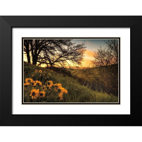 Sunrise Silhouette Black Modern Wood Framed Art Print with Double Matting by Burt, D.