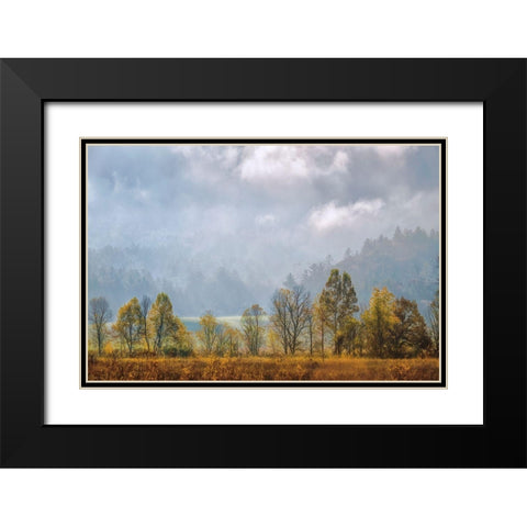 Lifting Fog Black Modern Wood Framed Art Print with Double Matting by Burt, D.