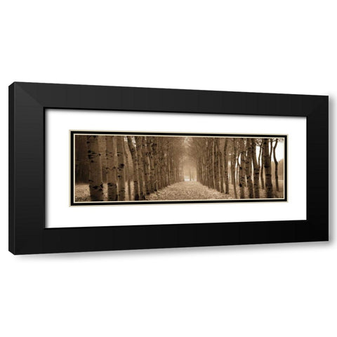The Shimmering Forest Black Modern Wood Framed Art Print with Double Matting by Ross, Heather