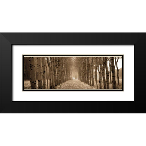 The Shimmering Forest Black Modern Wood Framed Art Print with Double Matting by Ross, Heather