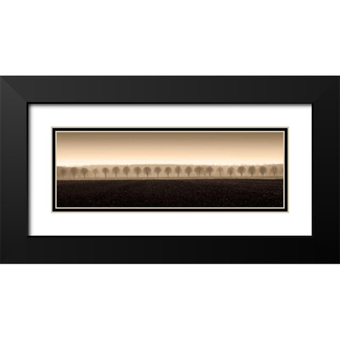 Dappled Morning Fields Black Modern Wood Framed Art Print with Double Matting by Ross, Heather