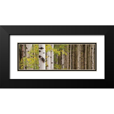 White Forest Standing Black Modern Wood Framed Art Print with Double Matting by Ross, Heather
