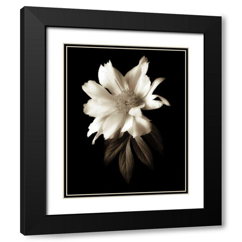 Portrait in White I Black Modern Wood Framed Art Print with Double Matting by Rehner, John