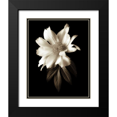 Portrait in White I Black Modern Wood Framed Art Print with Double Matting by Rehner, John