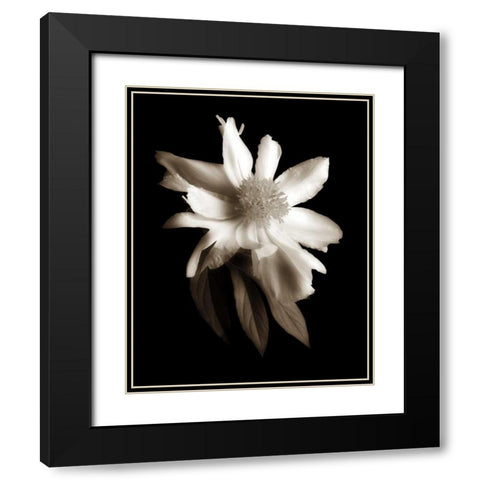 Portrait in White II Black Modern Wood Framed Art Print with Double Matting by Rehner, John