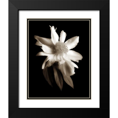 Portrait in White II Black Modern Wood Framed Art Print with Double Matting by Rehner, John