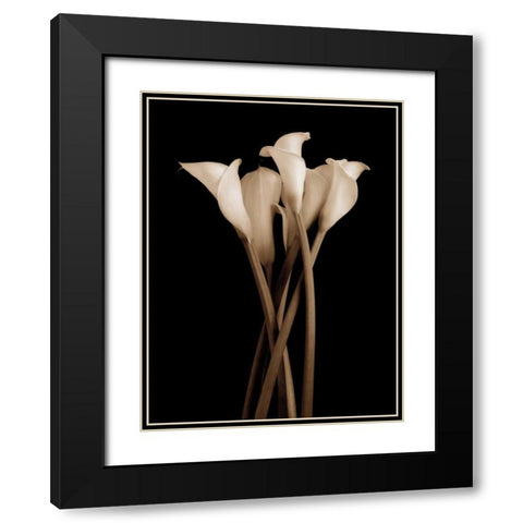 The Gathering Black Modern Wood Framed Art Print with Double Matting by Rehner, John