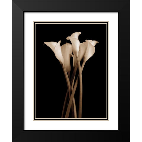 The Gathering Black Modern Wood Framed Art Print with Double Matting by Rehner, John