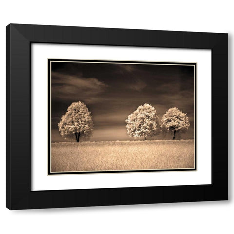 Together and Alone II Black Modern Wood Framed Art Print with Double Matting by Szilagyi, Ily