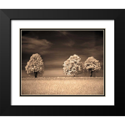 Together and Alone II Black Modern Wood Framed Art Print with Double Matting by Szilagyi, Ily