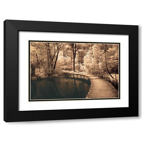 Take My Lead I Black Modern Wood Framed Art Print with Double Matting by Szilagyi, Ily