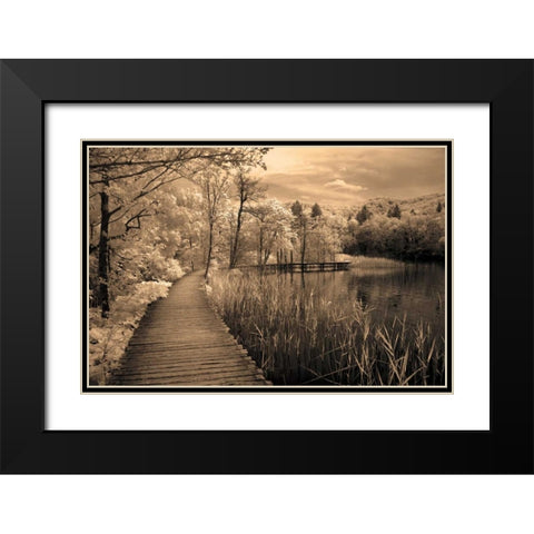 Take My Lead II Black Modern Wood Framed Art Print with Double Matting by Szilagyi, Ily