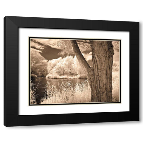 Lakefront View II Black Modern Wood Framed Art Print with Double Matting by Szilagyi, Ily