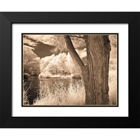 Lakefront View II Black Modern Wood Framed Art Print with Double Matting by Szilagyi, Ily