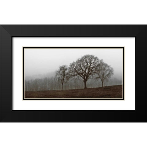 Autumn Fog Black Modern Wood Framed Art Print with Double Matting by Szilagyi, Ily