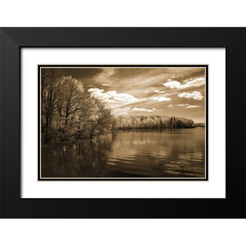 Natures Glory Black Modern Wood Framed Art Print with Double Matting by Szilagyi, Ily